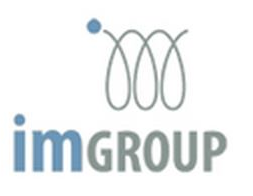 IM Group, vehicle dealership, blue and grey logo